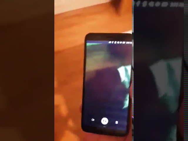 Youtube video 0bqy8Mzm4lw